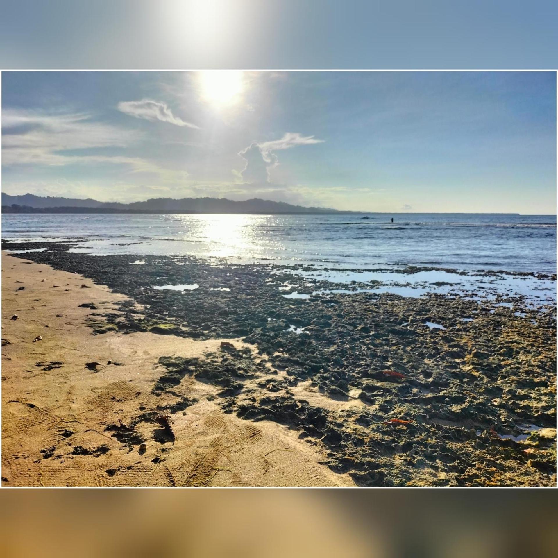 Cabinas Coconut Grove Puerto Viejo de Talamanca Экстерьер фото